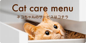 福岡　ペットシッター　ねこ　ネコ　猫