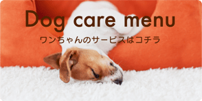 犬　ワンちゃん　ペットシッター　福岡