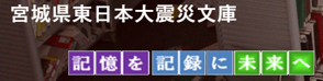はるかのひまわり絆2011プロジェクト : 気仙沼市と南三陸町の復興を願って!
