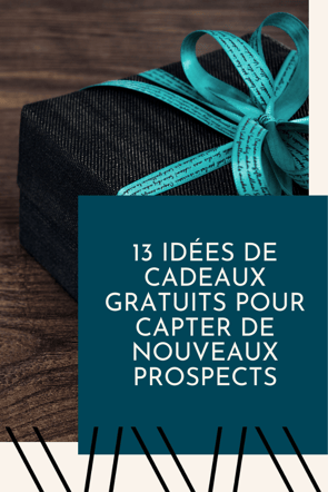 Idées de cadeau gratuit / lead magnet