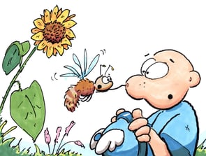 (C) M. Schäferjohann