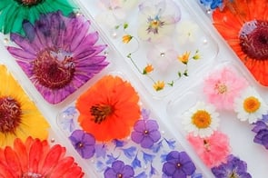 画像はhttps://www.makuake.com/project/artcase/より転載