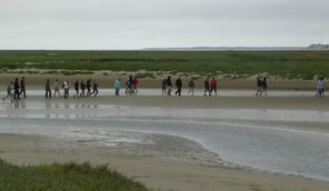 Somme Groupes - Somme - Groupes - Baie de Somme - Voyages en groupes - Scolaires - Promenade en Baie - Activités - Hauts de France - Picardie