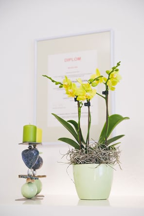 Naturheilpraxis Moni Näf in Muri, Freiamt