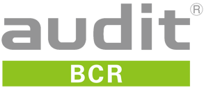 調剤監査システム　audit