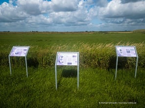 Mit dem Wohnmobil an der Elbe