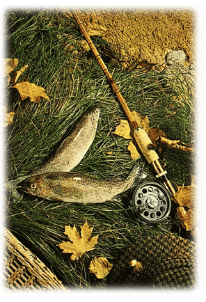 orthe, inondation, peyrehorade, landes, aquitaine, peche, lamproie, baro, gave, arthous, adour, sorde, barthes, radelage, alose, saumon, port de lanne, couralin, hastingues,  tilhole, galupe