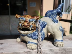 Tokio, Kyoto und viel Okinawa gibt es auf unseren Winterreisen zu erleben