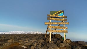 Gruppen-Reise Tansania - Trekking Kilimanjaro - Machame - Safari