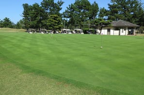 パター練習場