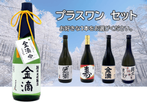 純米大吟醸38 + 純米吟醸