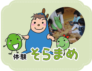 体験：そらまめ