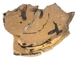 谷口 正造、NAZE「翼をあげるよ」