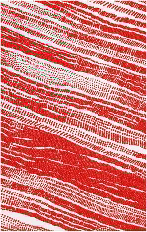 大和 美緒「RED DOT」