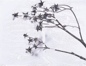 岡田 佑里奈「Blank 010」