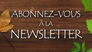 Cliquez sur le visuel