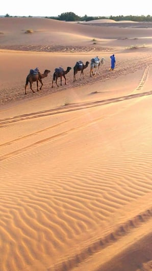 モロッコ/サハラ砂漠でラクダトレッキングがおすすめ♬　青い街シャウエン在住Mikaのブログ