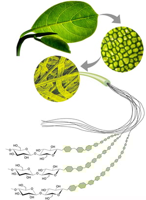 Niklacell CMC Carboxymethylcellulose Mare Austria
