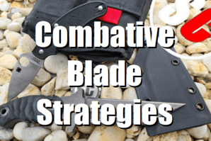 P SC Int'l Street Combatives  Krav Maga Unarmed Seminare Seminars Trainerausbildung Certification Instructor Development Program Empty Hands Knife Gun Defense Combative Blade Strategies Selbstverteidigung Kampfsport Selfdefense Martial Arts 