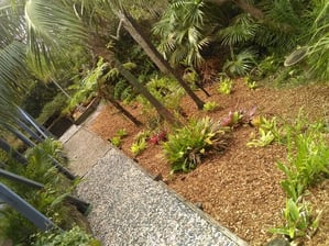 Clip n Clean Gardening