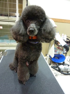 クロちゃん❤相変わらずマイペースなクロちゃん☆