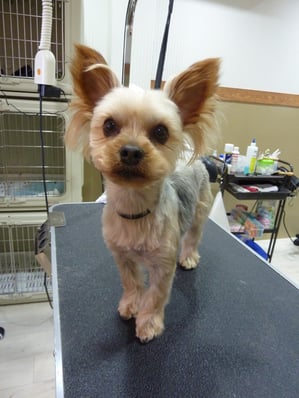 おかゆちゃん♪