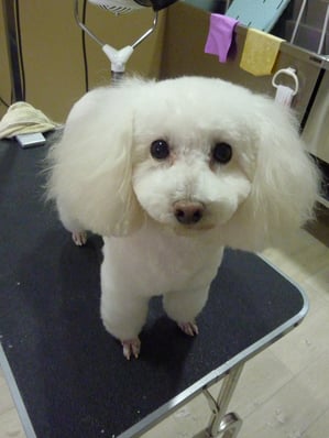 幸ちゃん❤あたち抱っこが大好きなの♪