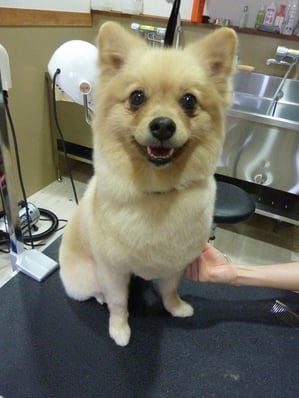 すももちゃん♪