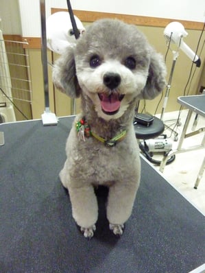 空ちゃん❤いつも笑ってるね～(๑✧◡✧๑)