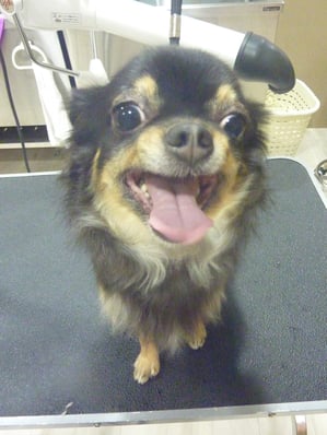 きららちゃん♪なぜかカメラが曇っちゃいました(^_^;)