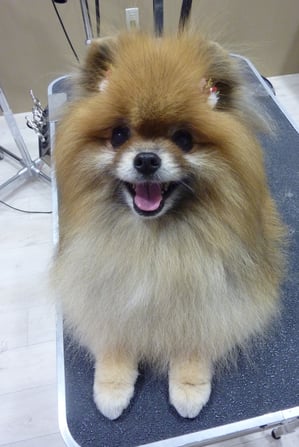 チェルちゃん♪初ルシアンご来店ありがとうございます!また来てねー☆