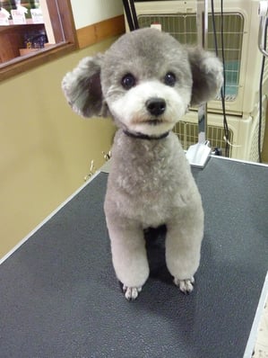 空ちゃん❤スッキリお顔がカワイイね☆