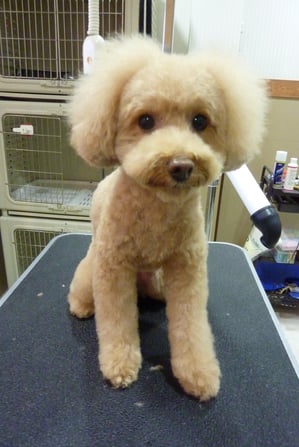 はづきちゃん♪今日も元気いっぱいでした☆