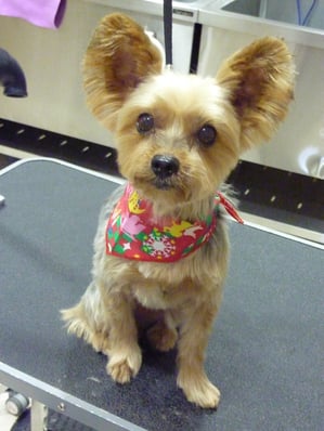 ピッチちゃん♪初めてのご利用ありがとうございます!お利口さんでした☆