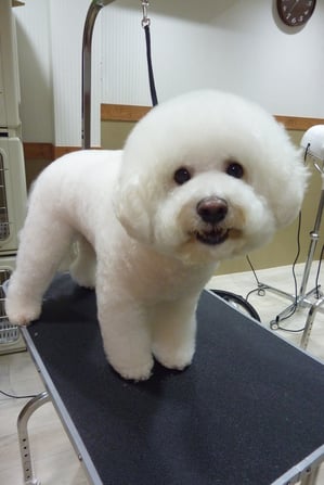 カイちゃん♪アゴの下はなかなかだね~(^_^;)