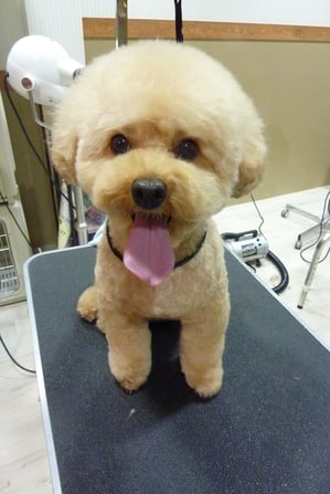 恋ちゃん♪まぁるい頭がとってもお似合い☆