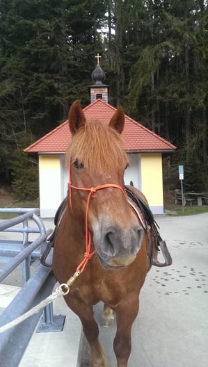 Brotzeit Pause beim Ausritt