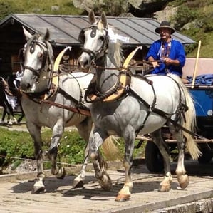 Hochzeit ins Dischmaltal Alp am Rhiin