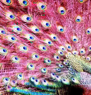 Aufstellungen Berlin