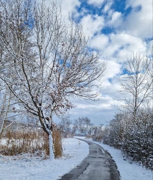 Winterlandschaft Stille Heidy Forster