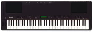 P-250 Digital Piano
