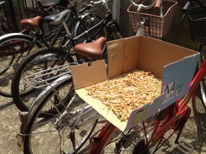 今日の石岡教室の生徒自転車をお借りして・・