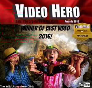 Video Hero Winner, Bats The Creatures of the Night