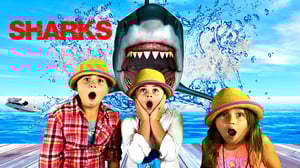 sharks for kids, great white shark, shark facts