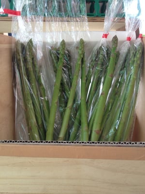 栃木の新鮮アスパラガス