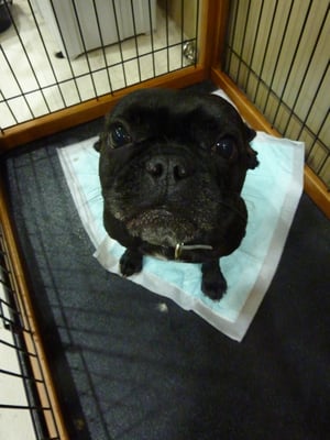 みかんちゃん❤カメラ目線がとってもお上手☆