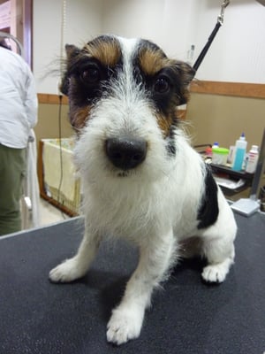 ジャックちゃん❤