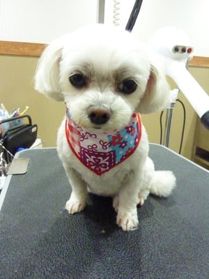 ミルクちゃん♡