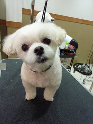 リリちゃん❤いつもありがとう☆おなかの調子よくなったかな？