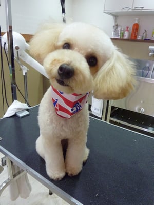 ショコラちゃん❤お兄ちゃんと仲良くね☆